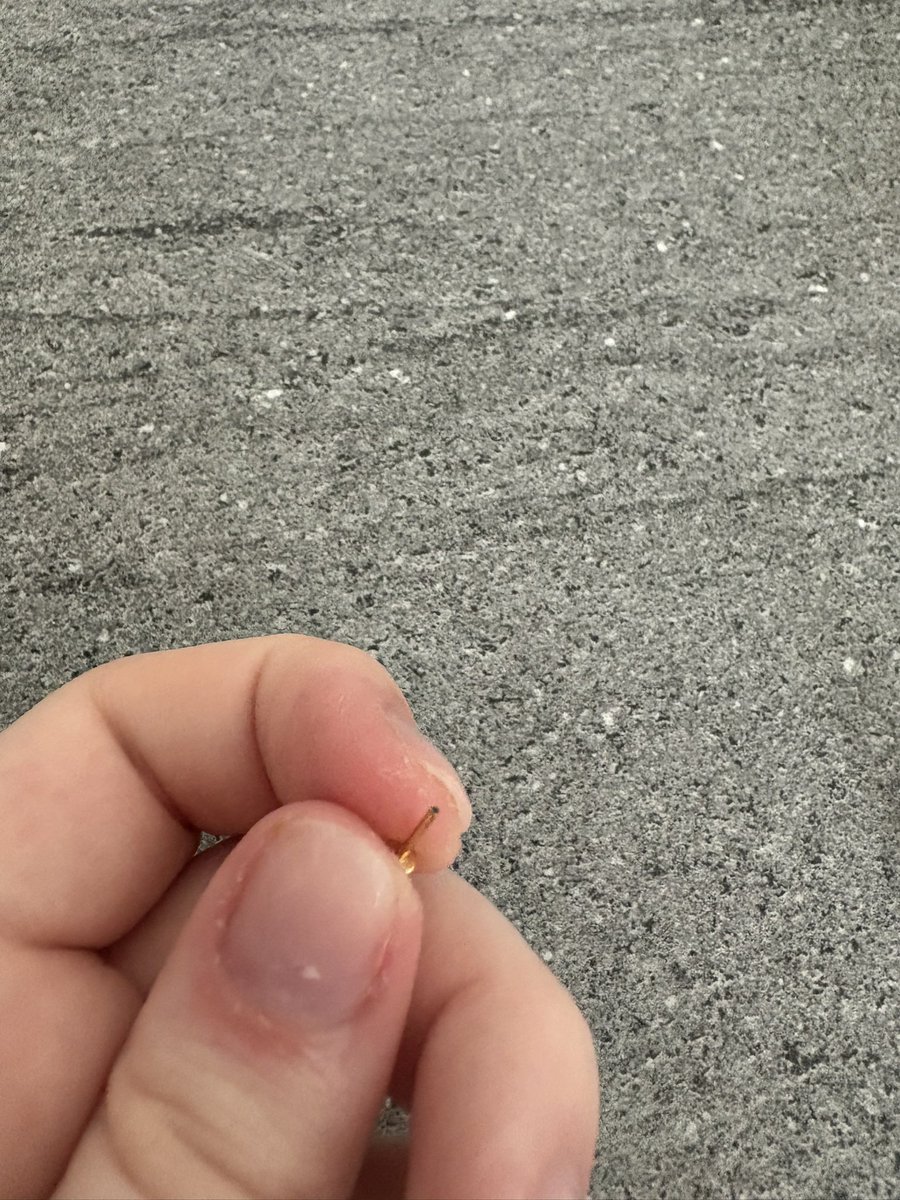 emma 🏁 tweet media