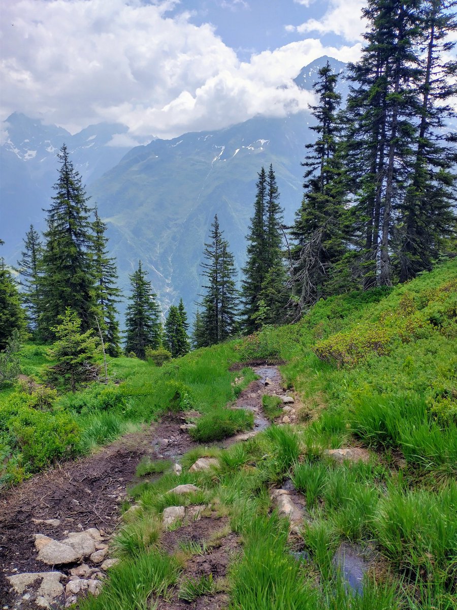 HikingSchweiz's tweet image. A walk to the Sunniggrathütte (1,978m), which sits on a sunny ledge - hence the name - high above the Reusstal in Canton Uri, Switzerland 🇨🇭