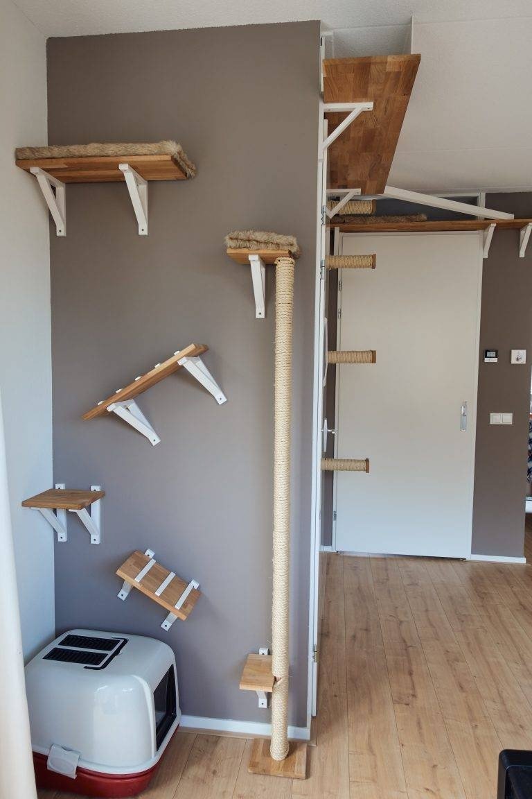 Dr. Kohan🏛🏛🏛 tweet media