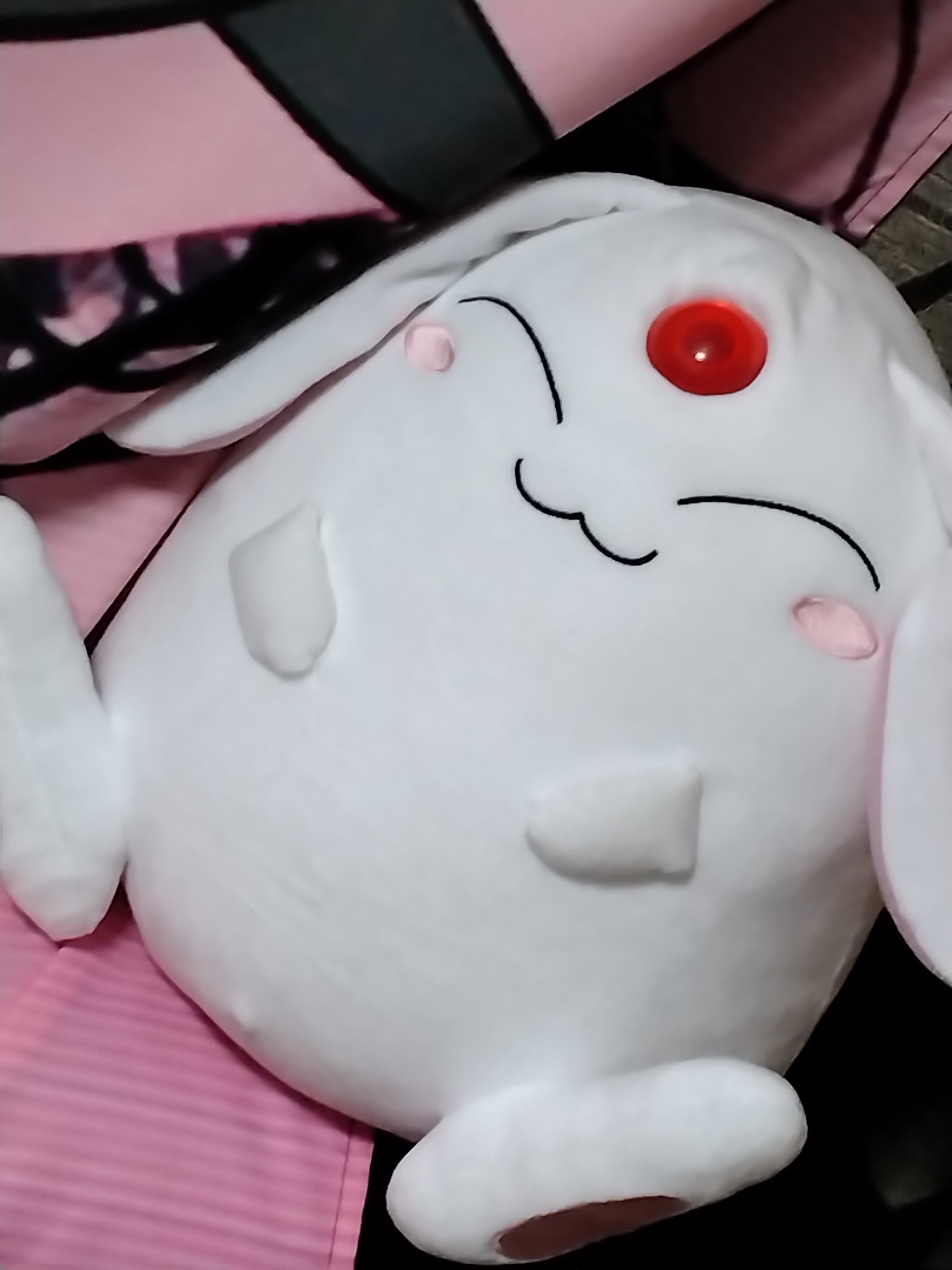 ネコさん専用⭐︎ キャティーマン 猫ちゃんテンション爆アゲBOX (45280) : 56nyan
