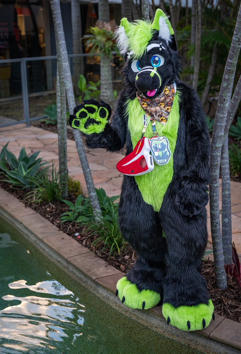 Whufffluff's tweet image. Who’s gonna push him?

#FursuitFriday #fursuit

📸: @tatosnowleopard