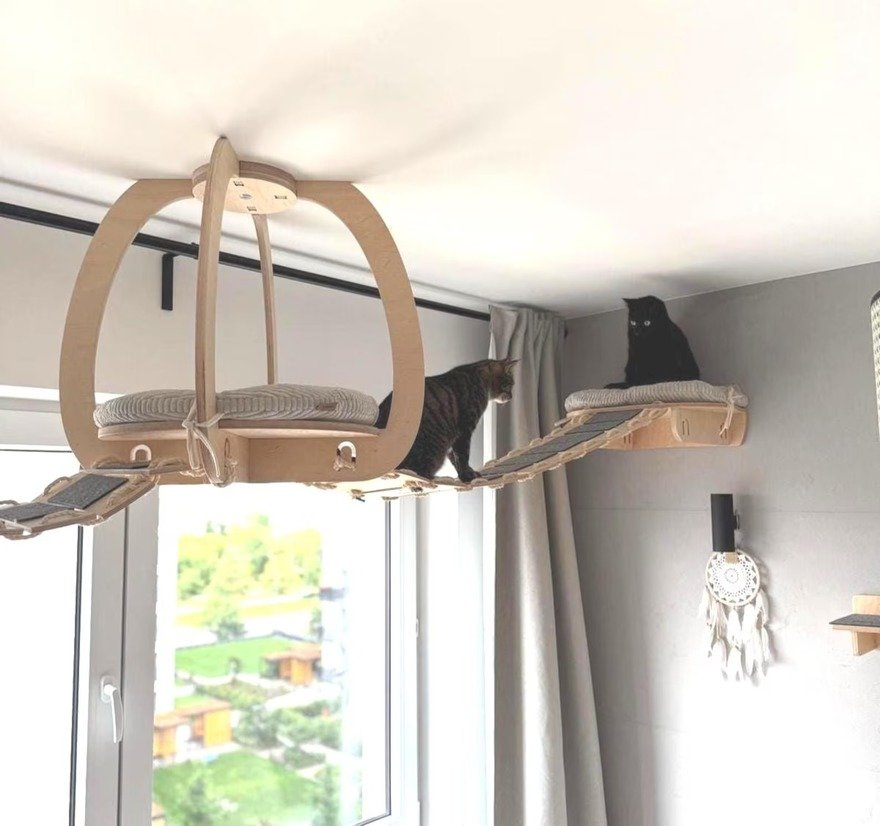 Dr. Kohan🏛🏛🏛 tweet media