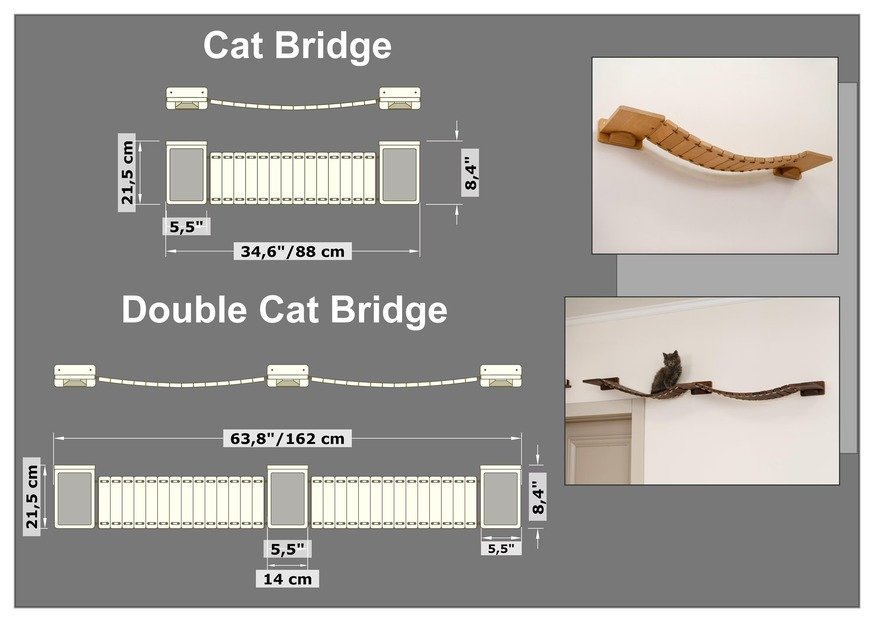 Dr. Kohan🏛🏛🏛 tweet media