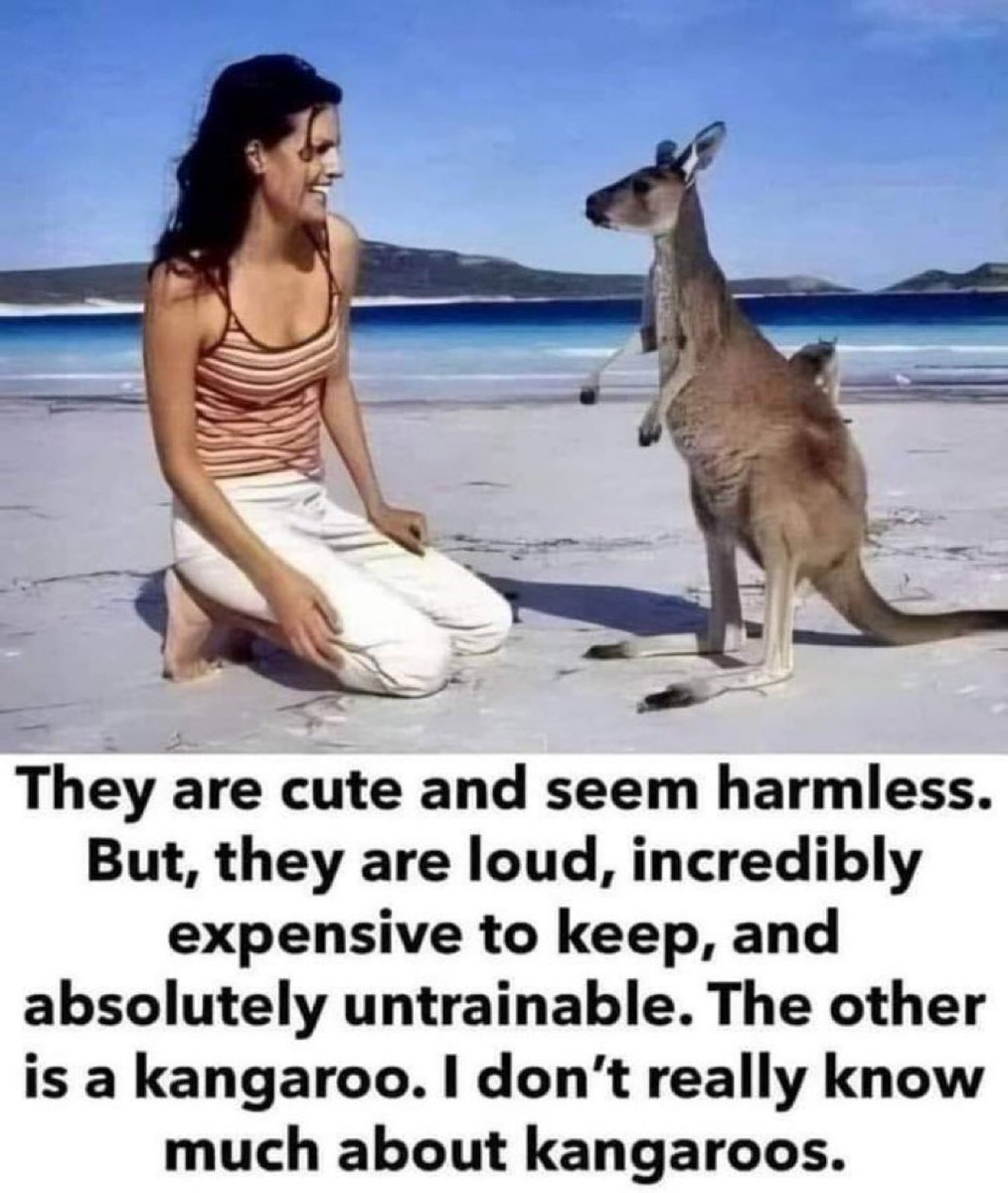 🤣🤣🤣