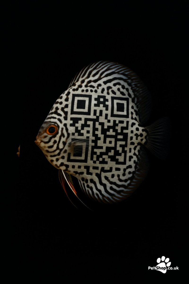 ZedTrafficker's tweet image. Qr code #FishTanks @OneMinuteBriefs