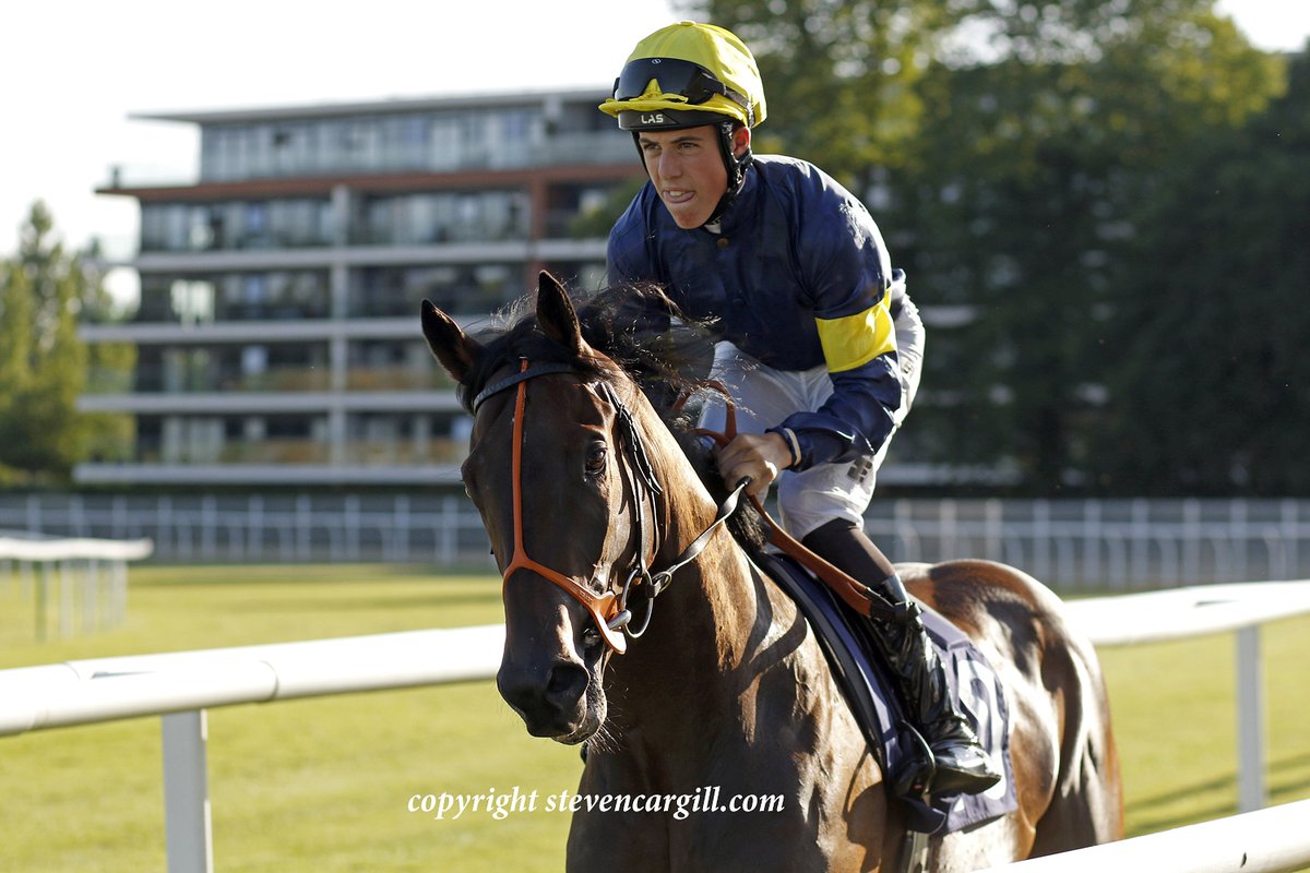 Steven Cargill tweet media