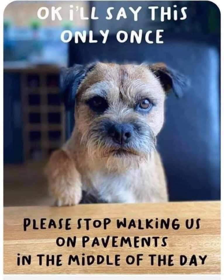 🚨 THIS!!! 👇👇👇👇🚨