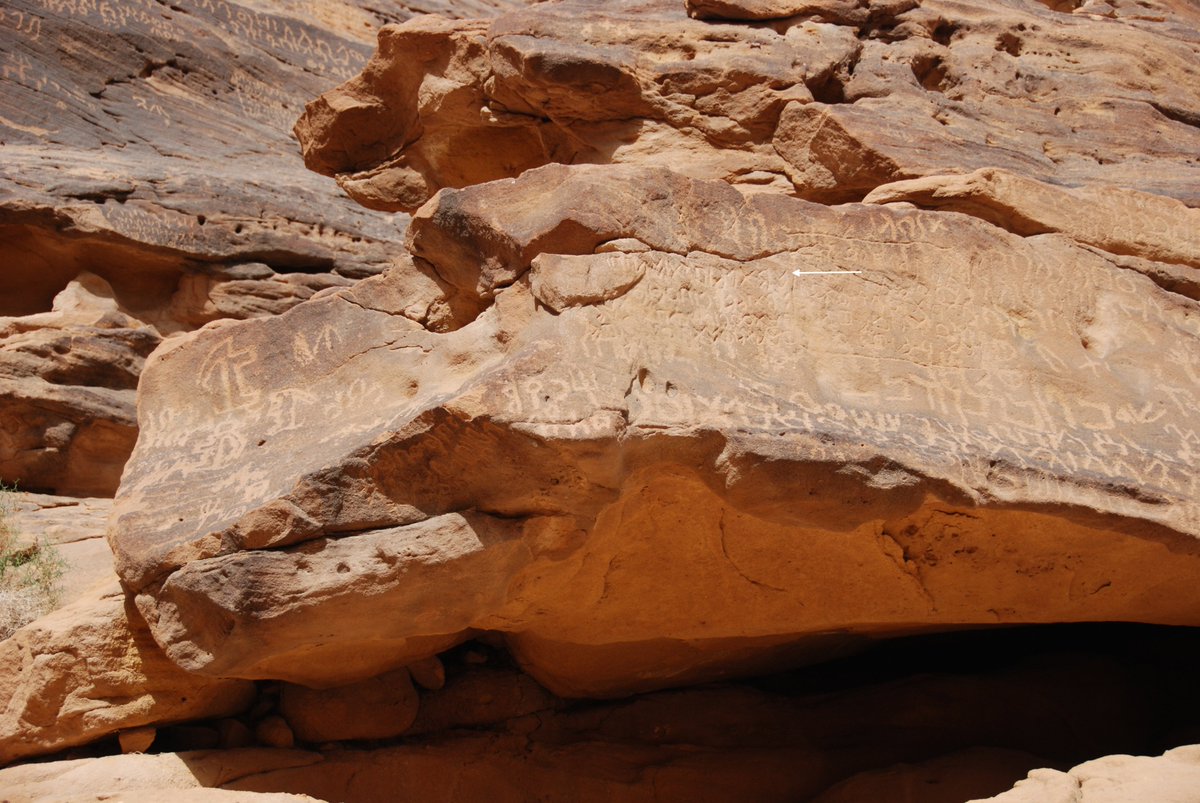 OCIANA_OSU's tweet image. #Updated on #OCIANA. OCIANA 1 had a collection of 138 mysterious, unpublished Dadanitic inscriptions with no information on who collected them or where exactly they were from. These have been updated - visit the siglum 𝘼𝙡-ʿ𝙐𝙙̱𝙖𝙮𝙗.
Sample: ociana.osu.edu/inscriptions/1…