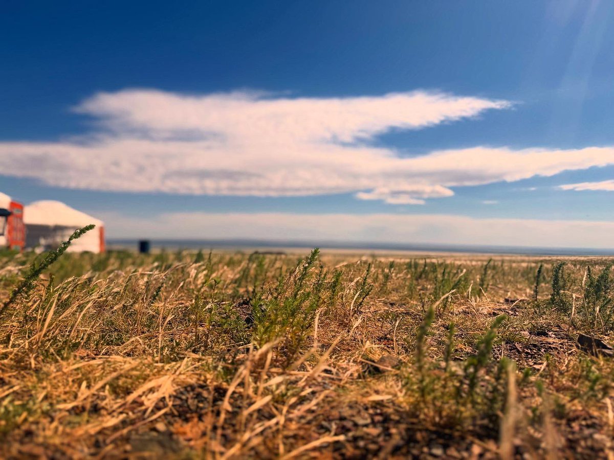 Сайхан газар байлаа, баярлалаа!

Ахин ирнэ ээ л гэчихсэн байгаа шүү!❤️

#ГурванСайхан #ЁлынАм