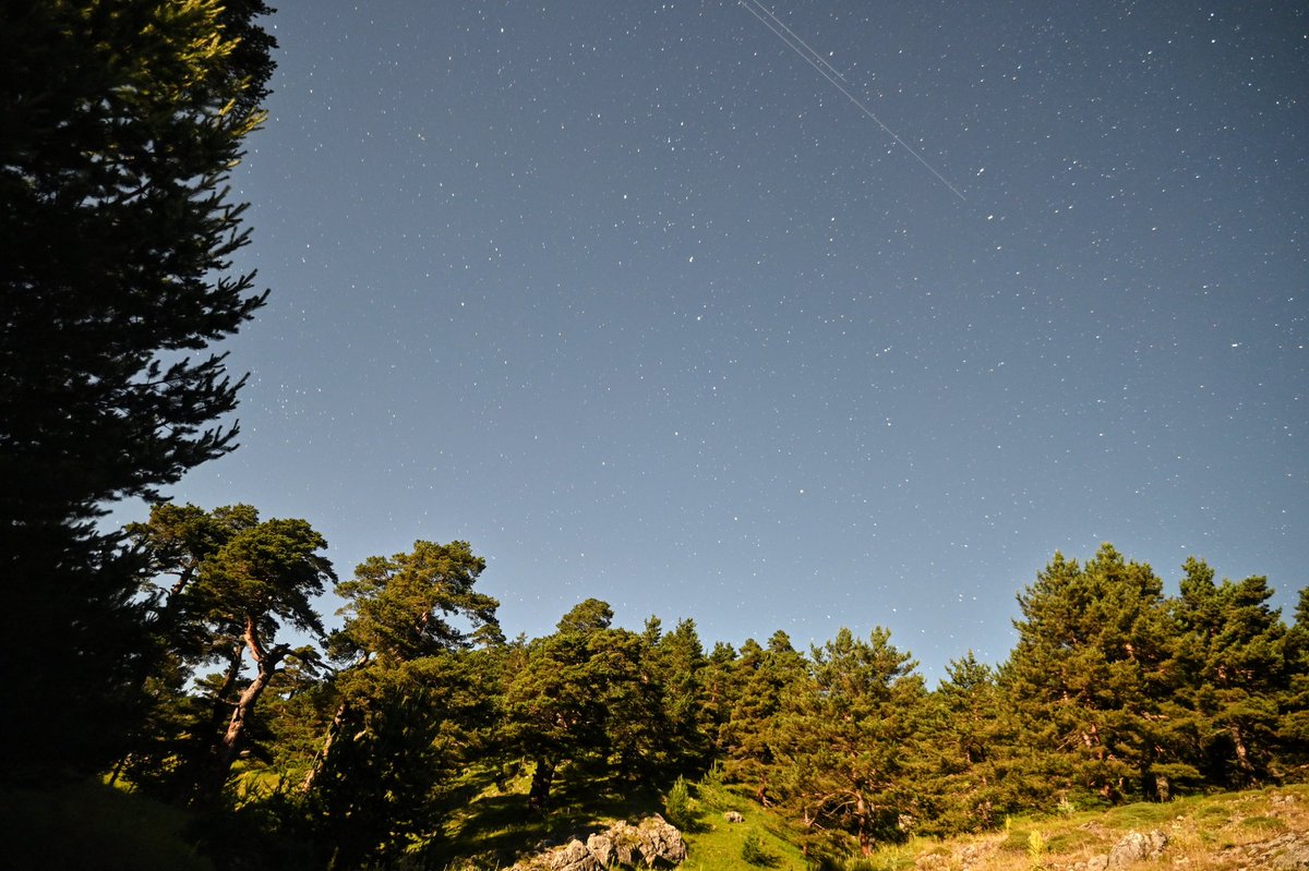 Star exposure in moonlight
<a href="/salvor_io/">Salvor 🚢🔺</a>
salvor.io/collections/0x…