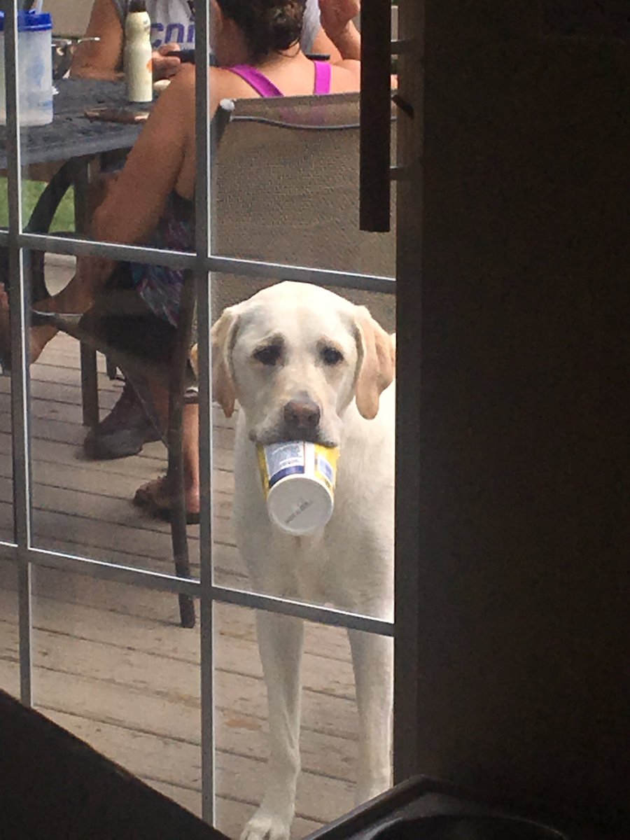 Matt Stopsky tweet media