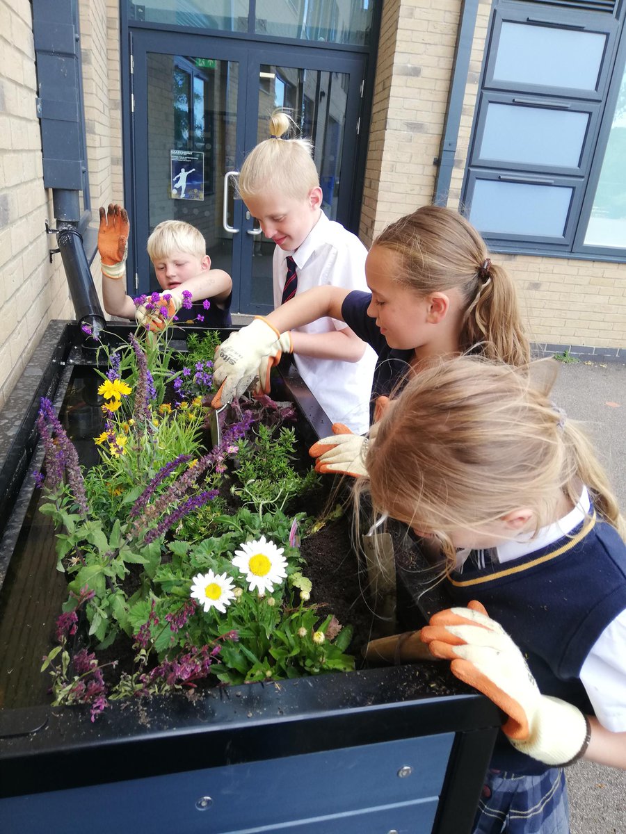 Our Eco Committee have been busy recently after receiving 4 incredible self watering planters! We've planted our herbs, strawberries and tomatoes and we're ready to see them grow!🌻🍓🍅