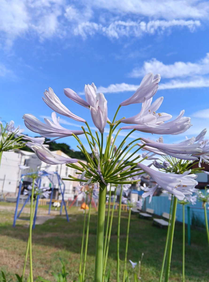 🌼✌️✌️🌈💐👍