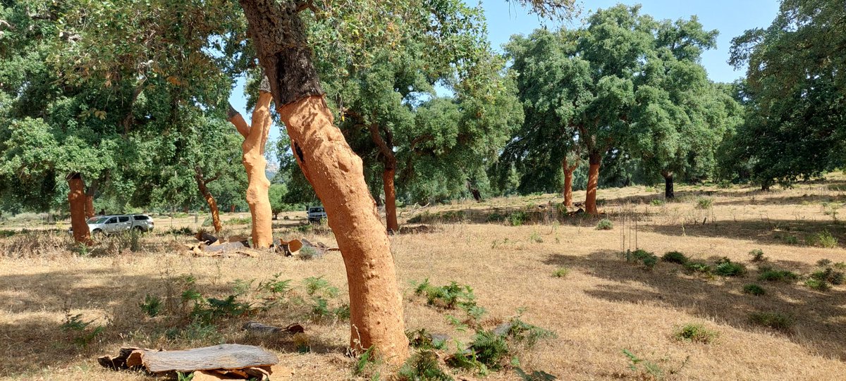 Progetto Life Fagesos tweet media