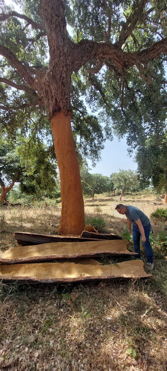 Progetto Life Fagesos tweet media