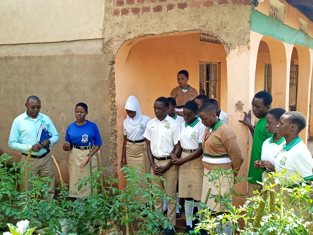 UniK_SL's tweet image. On 25th June 2025, we visited Mugezi Secondary school to check on their Environment conservation project.

They have registered a lot of progress in waste Management and tree planting.

Active Learning is the way to go!
#SL #ServiceLearning