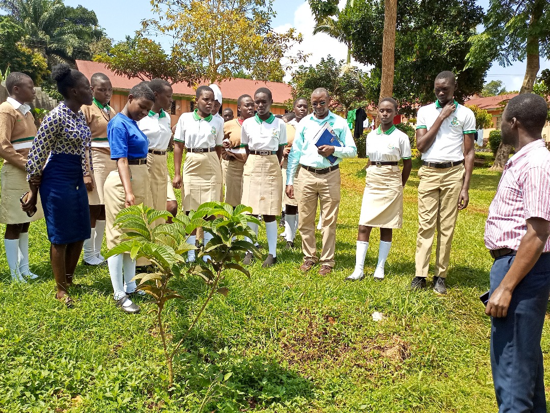 UniK_SL's tweet image. On 25th June 2025, we visited Mugezi Secondary school to check on their Environment conservation project.

They have registered a lot of progress in waste Management and tree planting.

Active Learning is the way to go!
#SL #ServiceLearning