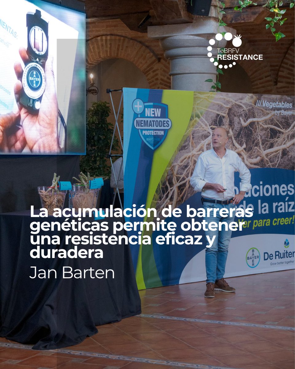 “La acumulación de barreras genéticas permite una resistencia eficaz y duradera.”

Una de las claves que dejó Jan Barten en ‘Soluciones desde la raíz’, donde también presentamos el #portainjertos DRTX6695.

📽️ loom.ly/FI5AHVM

#BayerSeminis #CultivaSeminis