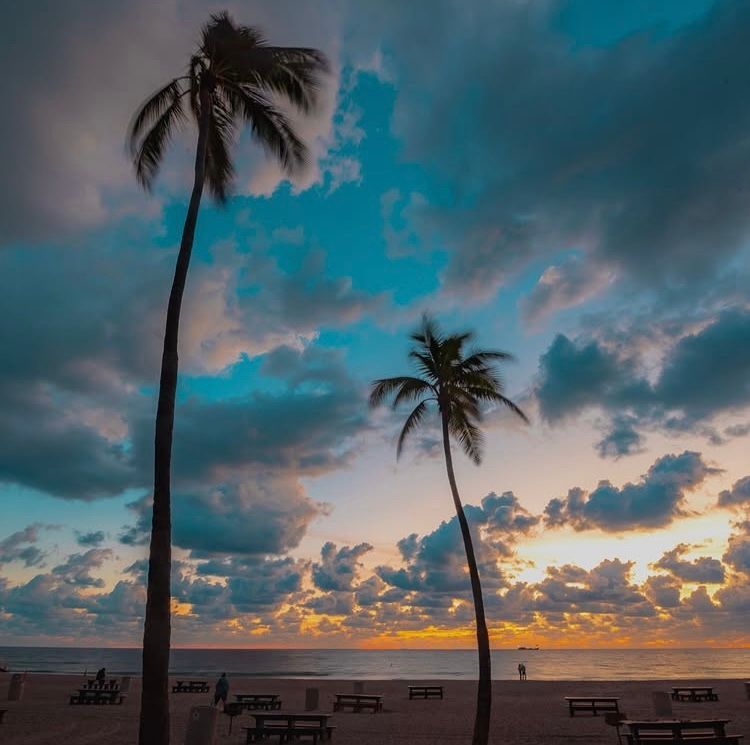 Happy TGIF! ✨ 

#goodmorning #fortlauderdale #morning #southflorida #florida #july #summer #beach #laudy #wakeup #ftlauderdale #july4th #lauderdale #broward #friday #tgif #oceanview #visitflorida #lauderdale #visitlauderdale #4thofjuly #2025 #nature #instamorning #fridaymorning