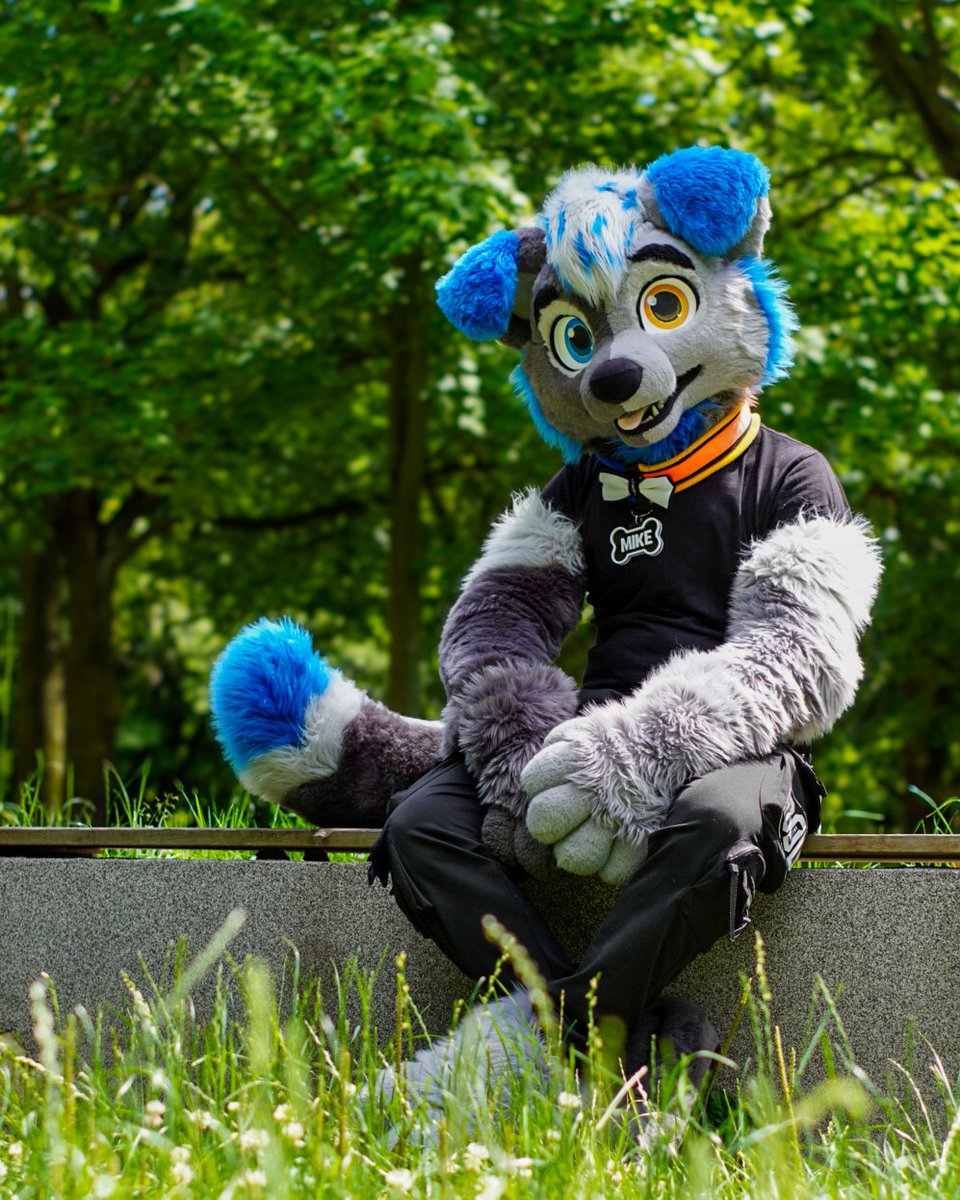 mike_furry (@mike_wolf_furry) on Twitter photo Happy #fursuitfriday everyone
🪡 <a href="/r5suits/">R5Suits (Rodney) 🌰12 years of talent✨</a>
#furry #fursuit Happy #fursuitfriday everyone
🪡 <a href="/r5suits/">R5Suits (Rodney) 🌰12 years of talent✨</a>
#furry #fursuit