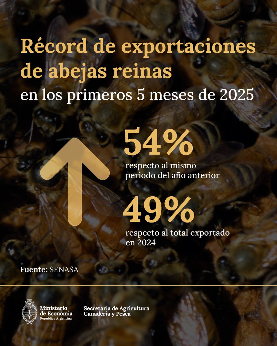Argentina es reconocida a nivel mundial por el profesionalismo de su apicultura. El conocimiento aplicado y la inversión en genética que realizan nuestros productores llega al mundo. Más info ➡️argentina.gob.ar/noticias/recor…