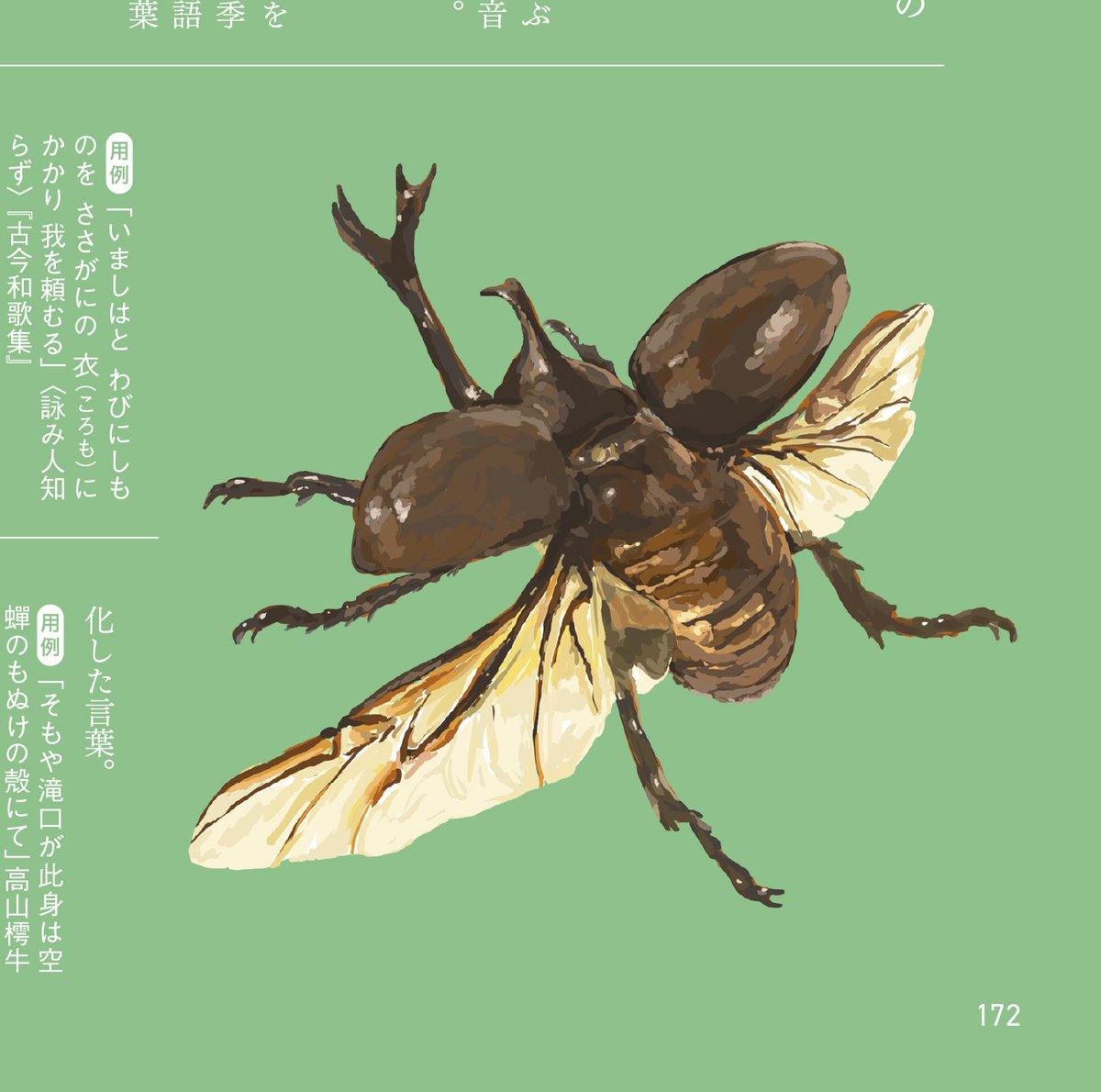 本日発売の『空と海と大地の言葉辞典』に、昔の絵ですが数点使っていただいております。イラストレーター約50人の素晴らしいイラスト盛りだくさんで、とても豪華な一冊です。どうぞ宜しくお願い致します。

発行:西東社さま
デザイン:こまゐ図考室さま 