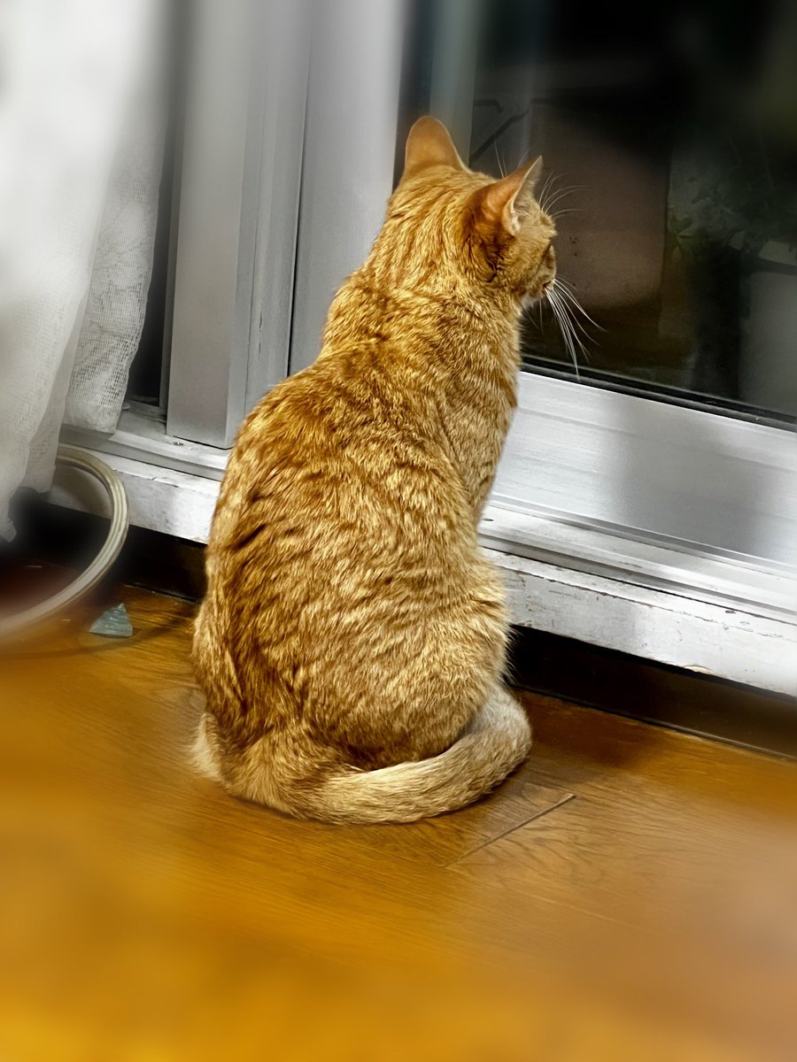 7/9  古希になりました！
今日は4月に取り切れなかったポリープ手術の為の入院です。
人口肛門を付けるということで今年は2回以上手術になりそうです😩