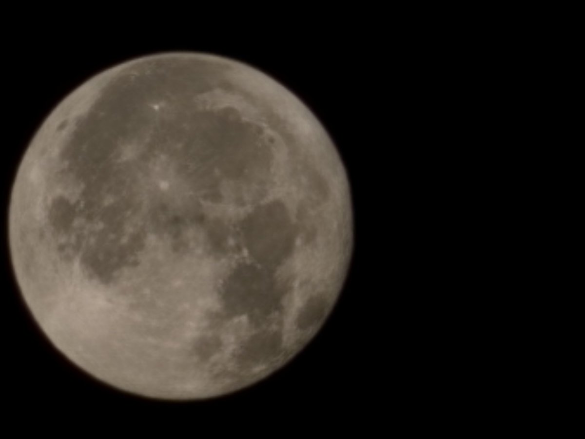 Rise and Shine, Beautiful Souls. 🌻