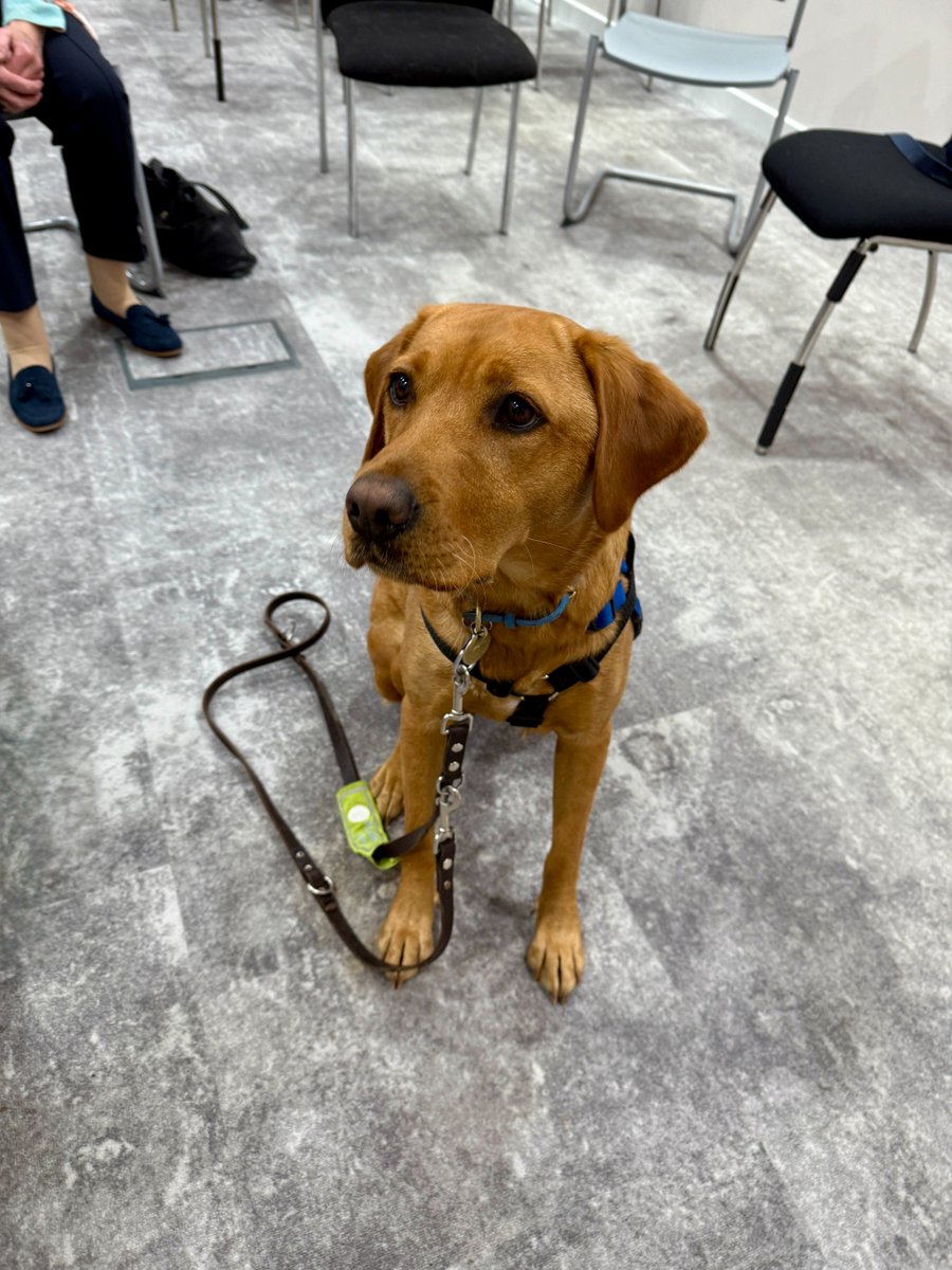 HealthLottery's tweet image. We were delighted to visit Support Dogs in Sheffield after the charity received a £15,000 grant from The Health Lottery Foundation, thanks to players of The Health Lottery. Read more at healthlottery.co.uk