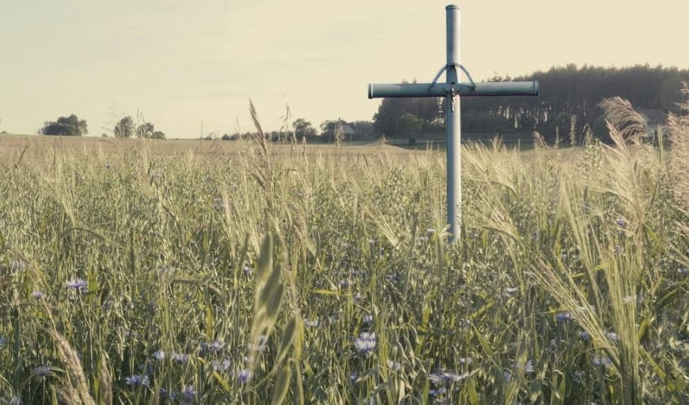 O Zbrodni Wołyńskiej 

Moje związki z Wołyniem są ograniczone i nie mam żadnych rodzinnych historii związanych z tą zbrodnią. Nikt z mojej rodziny tam nie ucierpiał. W tamtym czasie mordowano moich krewnych w innych miejscach: w niemieckich obozach koncentracyjnych, w