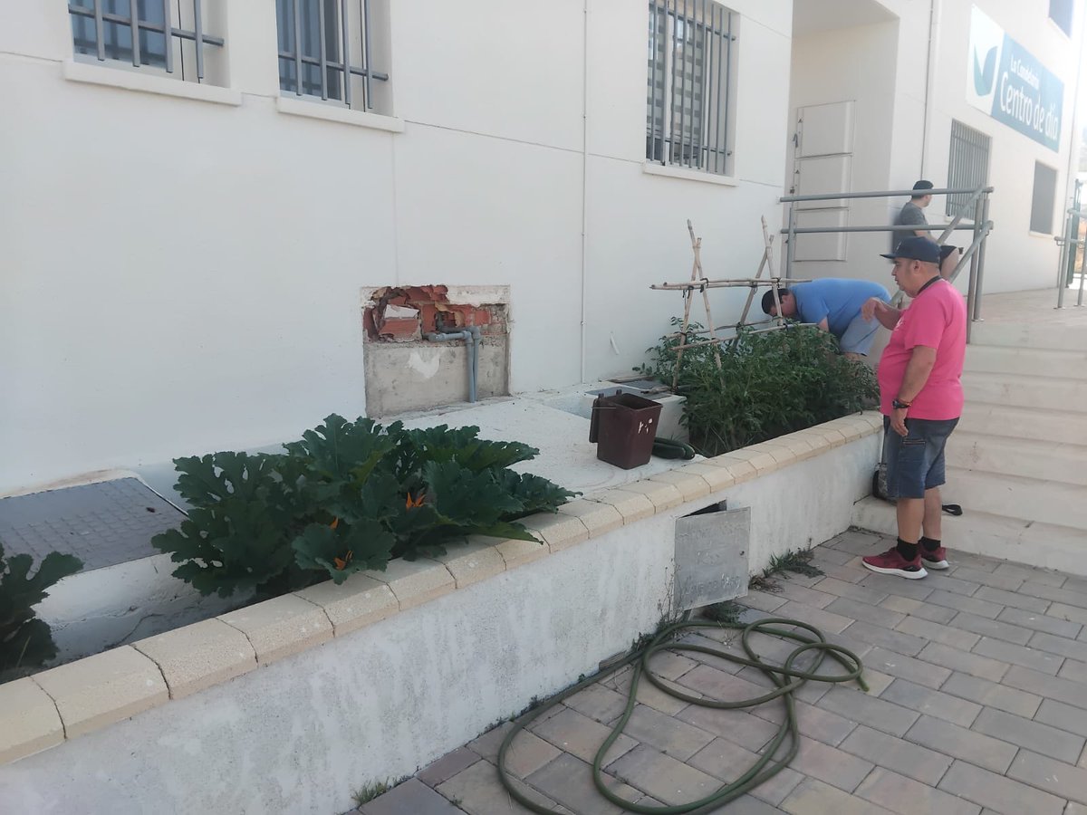 AspronaAlbacete's tweet image. 🌾🍀 El Centro Ocupacional Daniel Martínez, de Elche de la Sierra, continúa su trabajo en el huerto.

👨‍🌾👩‍🌾 Se encargan de su mantenimiento y por lo que cuentan… ¡muy pronto recogerán su primera cosecha!

#ElcheDeLaSierra #CentroOcupacional #DanielMartínez #Huerto #Cosecha