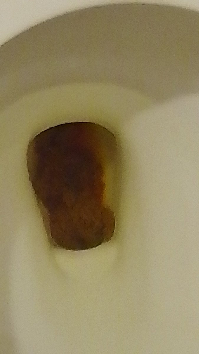 KingofAndrosica's tweet image. I&apos;m in the big boys league now. Here is some poop pie for you all. #poop #crap #mudpie