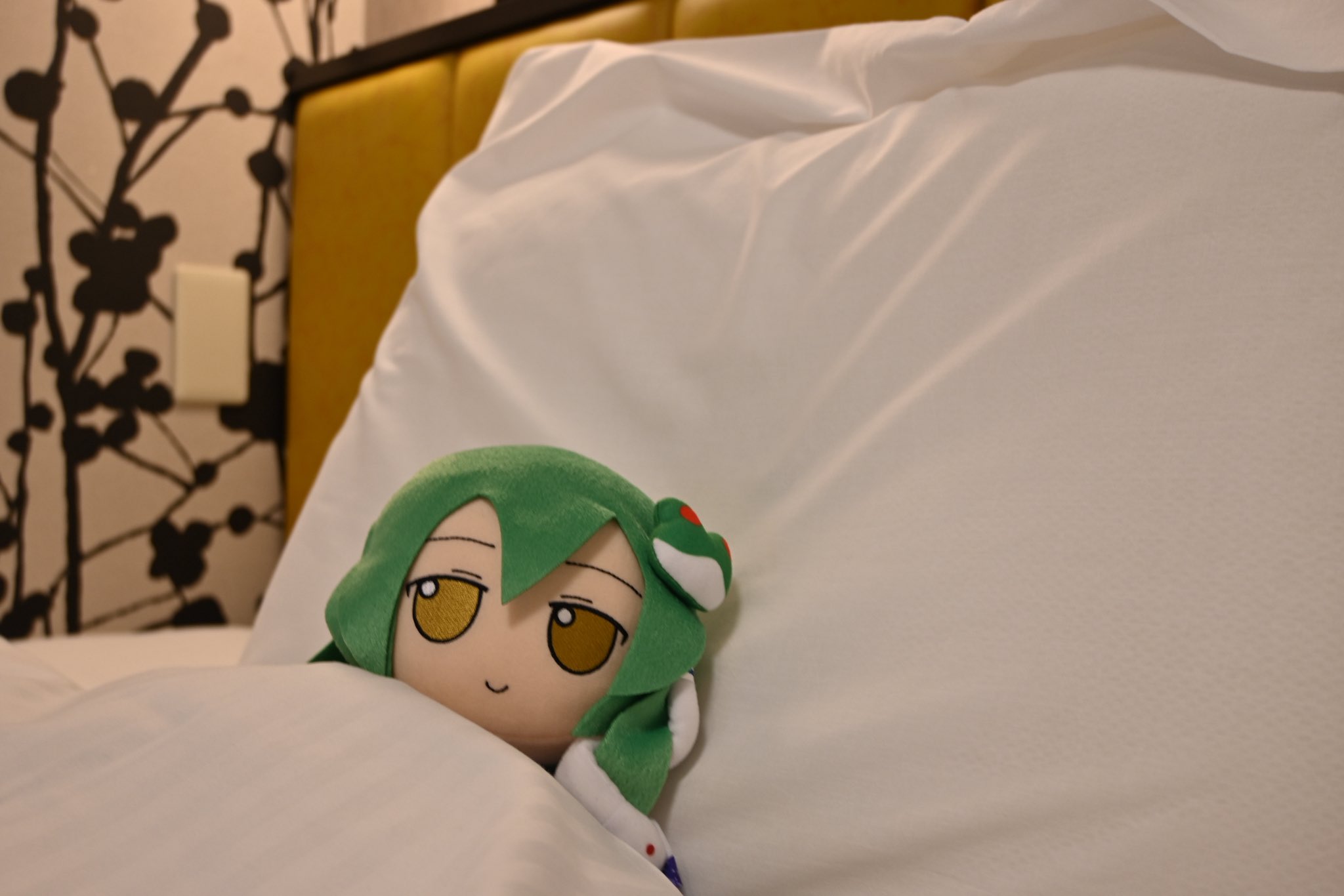 さなこち🐸🐍 on X: 