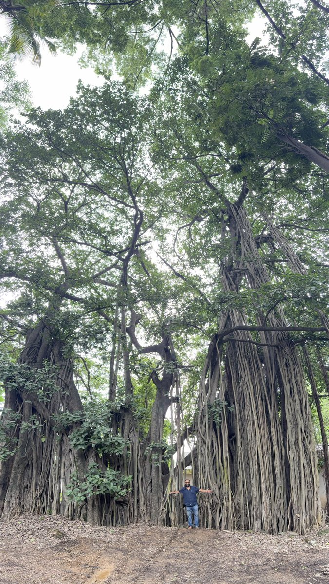 ameet singh tweet media