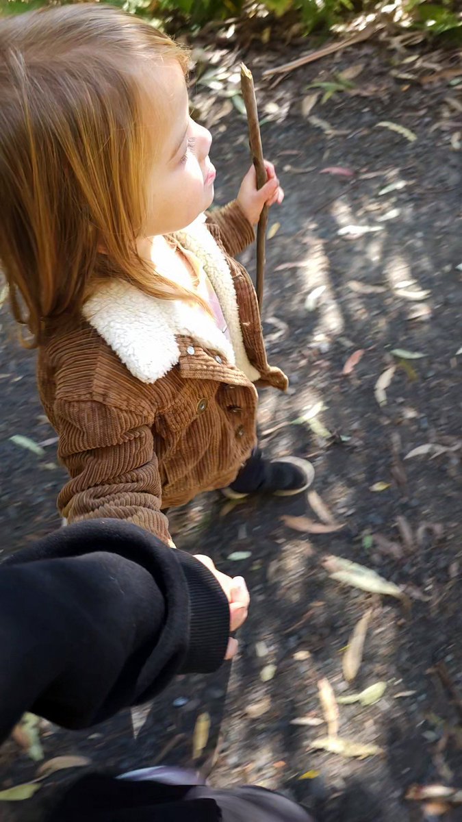 aiesharamirez's tweet image. Been a while since a good story. I like this one:

Went for a bush walk with my kids today.

On the walk back up to the car, my little 4 year old was complaining of sore legs. 

"I'll carry you up the hilly bits and you can walk when it's flat"

We get to a dip in the path.

"Can…