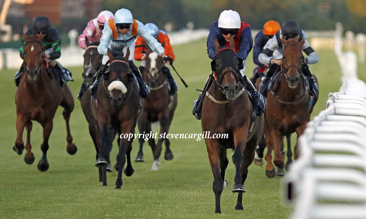 Steven Cargill tweet media