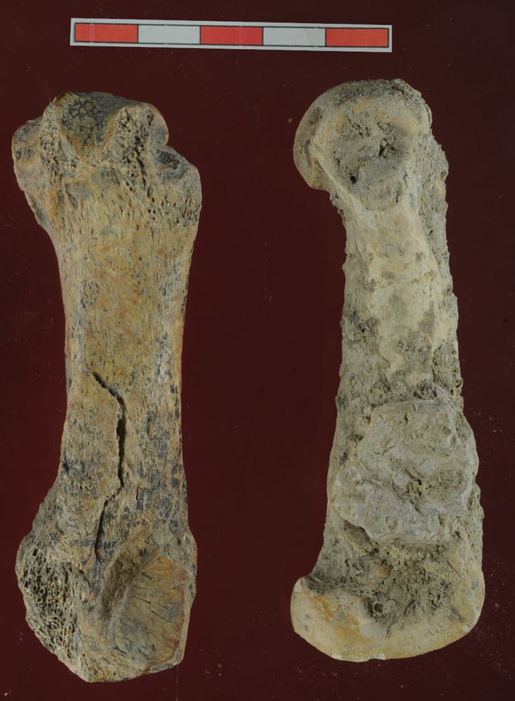 Dr. Jennifer Jones tweet media