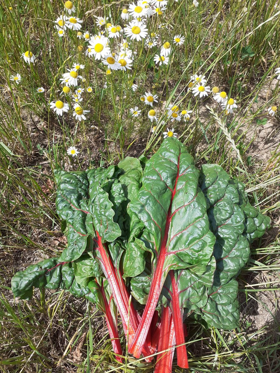 Pár fotek na e-shop.