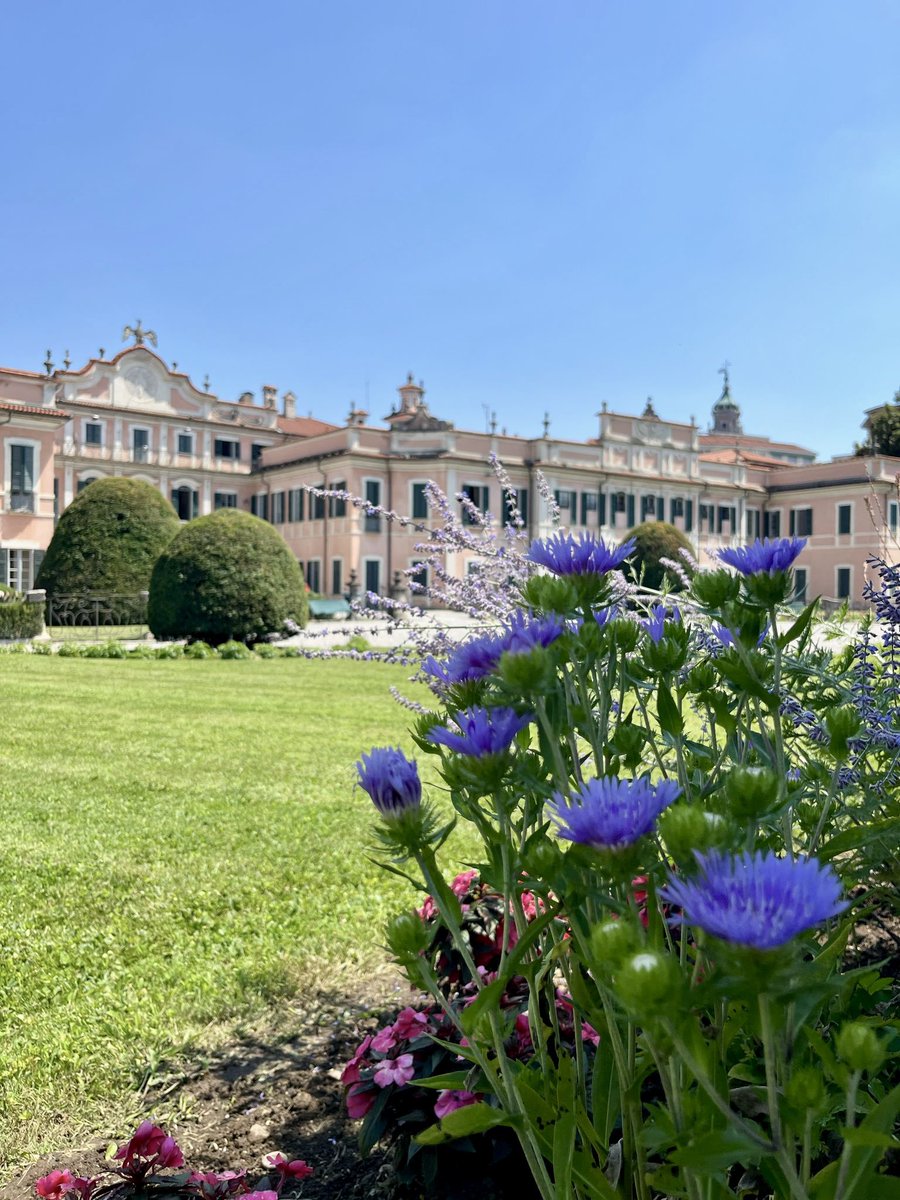 Comune di Varese tweet media