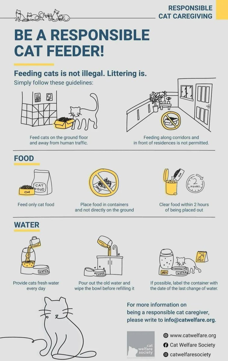 Sedikit panduan untuk Feeder. Buatlah yang termampu &amp; sebaik mungkin. 🙏🏻