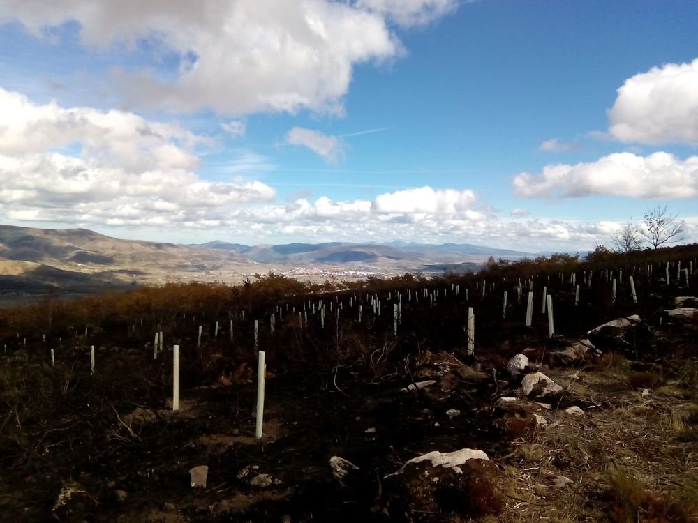 Dr. Jennifer Jones tweet media