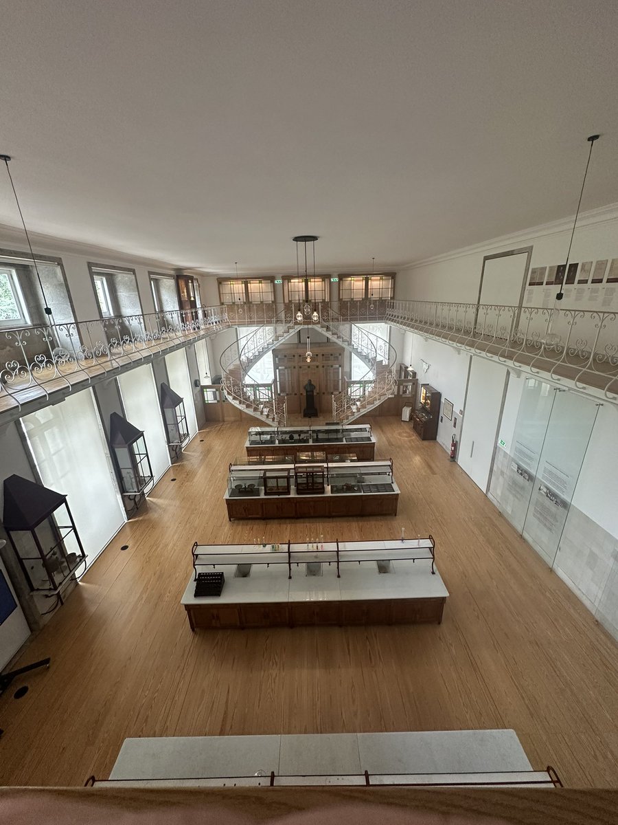 drdavidajames's tweet image. This exhibition in Porto's Natural History Museum is perfect: clear labels without any lecturing, clearly designed, right down to the light fittings.