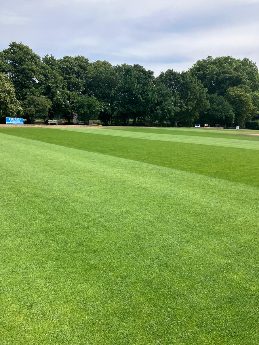 David Sealey tweet media