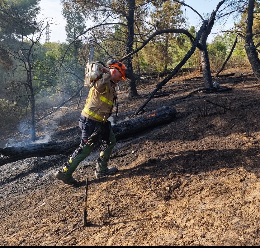 In memoriam Antonio Serrano.