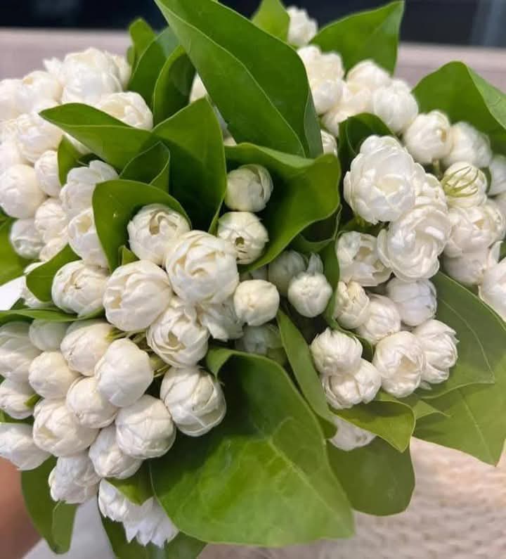 گُل جنت🌷 (@guljnt) on Twitter photo #ملک_پرموشن
🥀<a href="/guljnt/">گُل جنت🌷</a>
Special🌷
<a href="/01Mllik/">𝙈𝘼𝙇𝙄𝙆 𝙅𝙄💫💙</a>
<a href="/1arshd/">𝗔𝗿𝘀𝗵𝗱 𝗠𝗹𝗶𝗸💫👑</a>
<a href="/01rshd/">ارشـــد مــلــک❤️</a>
<a href="/1Arshii/">𝓐𝓻𝓼𝓱𝓲 𝓜𝓵𝓲𝓴 ☪ツ</a>
<a href="/111mn1/">🐬آمنہ ملک🦋</a>
<a href="/0Sehrr/">سحر ملک 🕊️🦋</a>
<a href="/glmsjd/">𝑺𝒂𝒋𝒋𝒂𝒅 ✨</a>
<a href="/11hmid/">احمد خان انصافی</a>
<a href="/sehr_ik/">سحر ملک 🦋🦋</a>
<a href="/0Hyyat/">حیات فاطمہ ✨</a>
<a href="/Snam5_/">🍁Sanam🍁</a>
<a href="/1Sehar_/">𝐒ҽԋαʀ 👑</a>
<a href="/10bshr/">Bashir Ahmed</a>
<a href="/ZK__32/">Zumar Khan</a>
<a href="/11ain_a/">AnuM🪡</a>
<a href="/Hurain_5/">Hurain 💞حورین</a>
🤍🍃
<a href="/1fazll/">قضـ𝓪𝓴𝓫𝓪𝓻ـل</a> <a href="/1fazl2/">فضـ𝓪𝓴𝓫𝓪𝓻ـل</a>
<a href="/11iasd/">Ali Asad</a> <a href="/_1rhe/">شازیہ</a>
<a href="/Pir_80/">Peer Shb</a> <a href="/Znt31/">🦋Zeenat🦋</a>
<a href="/Ghz35/">🇬 🇭 🇦 🇿 🇦 🇱 🇦 🇭</a> <a href="/Znt33/">🦋ZêēñäT</a>
<a href="/Fat9T/">Arshia🥀🍂</a> <a href="/NK_pti/">𝒜𝓏𝒶𝒹 🇵🇰</a>
<a href="/ze_kh1/">زینیـــــہ خـان🌸🍃</a> <a href="/D_gr55/">🌹ممدوح صبري🌹</a>
<a href="/Haris_943/">Haris PTI ᵀᶠᴸᵂ</a> <a href="/Asjk2/">Muhammad Junaid Anwar</a> #ملک_پرموشن
🥀<a href="/guljnt/">گُل جنت🌷</a>
Special🌷
<a href="/01Mllik/">𝙈𝘼𝙇𝙄𝙆 𝙅𝙄💫💙</a>
<a href="/1arshd/">𝗔𝗿𝘀𝗵𝗱 𝗠𝗹𝗶𝗸💫👑</a>
<a href="/01rshd/">ارشـــد مــلــک❤️</a>
<a href="/1Arshii/">𝓐𝓻𝓼𝓱𝓲 𝓜𝓵𝓲𝓴 ☪ツ</a>
<a href="/111mn1/">🐬آمنہ ملک🦋</a>
<a href="/0Sehrr/">سحر ملک 🕊️🦋</a>
<a href="/glmsjd/">𝑺𝒂𝒋𝒋𝒂𝒅 ✨</a>
<a href="/11hmid/">احمد خان انصافی</a>
<a href="/sehr_ik/">سحر ملک 🦋🦋</a>
<a href="/0Hyyat/">حیات فاطمہ ✨</a>
<a href="/Snam5_/">🍁Sanam🍁</a>
<a href="/1Sehar_/">𝐒ҽԋαʀ 👑</a>
<a href="/10bshr/">Bashir Ahmed</a>
<a href="/ZK__32/">Zumar Khan</a>
<a href="/11ain_a/">AnuM🪡</a>
<a href="/Hurain_5/">Hurain 💞حورین</a>
🤍🍃
<a href="/1fazll/">قضـ𝓪𝓴𝓫𝓪𝓻ـل</a> <a href="/1fazl2/">فضـ𝓪𝓴𝓫𝓪𝓻ـل</a>
<a href="/11iasd/">Ali Asad</a> <a href="/_1rhe/">شازیہ</a>
<a href="/Pir_80/">Peer Shb</a> <a href="/Znt31/">🦋Zeenat🦋</a>
<a href="/Ghz35/">🇬 🇭 🇦 🇿 🇦 🇱 🇦 🇭</a> <a href="/Znt33/">🦋ZêēñäT</a>
<a href="/Fat9T/">Arshia🥀🍂</a> <a href="/NK_pti/">𝒜𝓏𝒶𝒹 🇵🇰</a>
<a href="/ze_kh1/">زینیـــــہ خـان🌸🍃</a> <a href="/D_gr55/">🌹ممدوح صبري🌹</a>
<a href="/Haris_943/">Haris PTI ᵀᶠᴸᵂ</a> <a href="/Asjk2/">Muhammad Junaid Anwar</a>