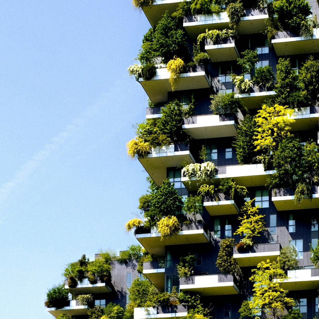 SfEP's tweet image. As urban populations grow, how can we make space for nature? 🌿
This #WorldPopulationDay, learn how blue-green infrastructure in cities can boost biodiversity and support species survival. ⬇️
environment.ec.europa.eu/news/using-blu…
#SfEP #Biodiversity #SustainableCities