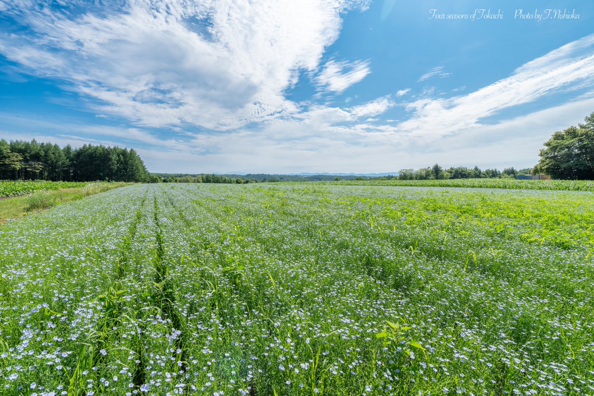 【オーダー用】北海道の風景写真 オーダー用】北海道の風景写真 オーダー用】北海道の風景写真 オーダー