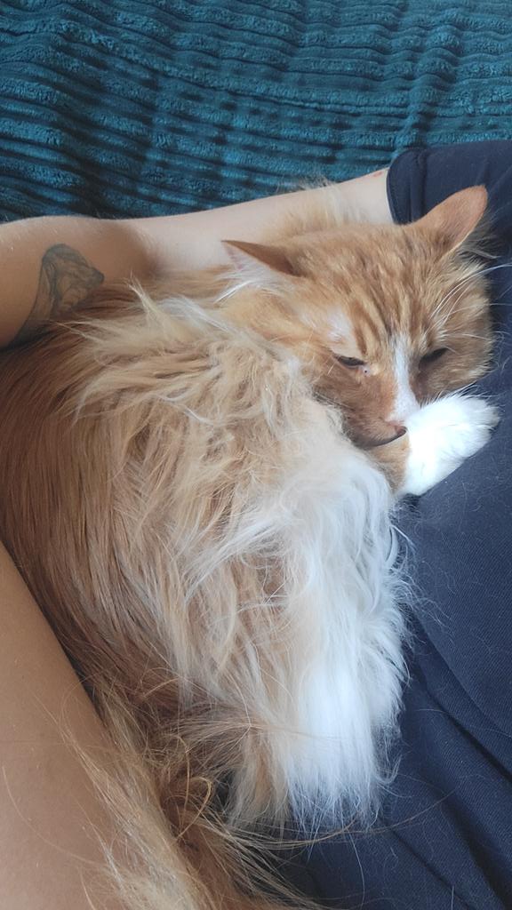 Thank you for your kind words to my mom, I think I'm very good doctor, she feels better already 😸😸😸