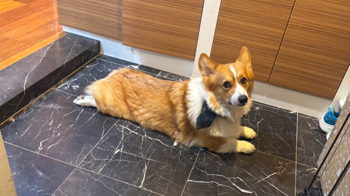 ドア開けたらこれ🎶