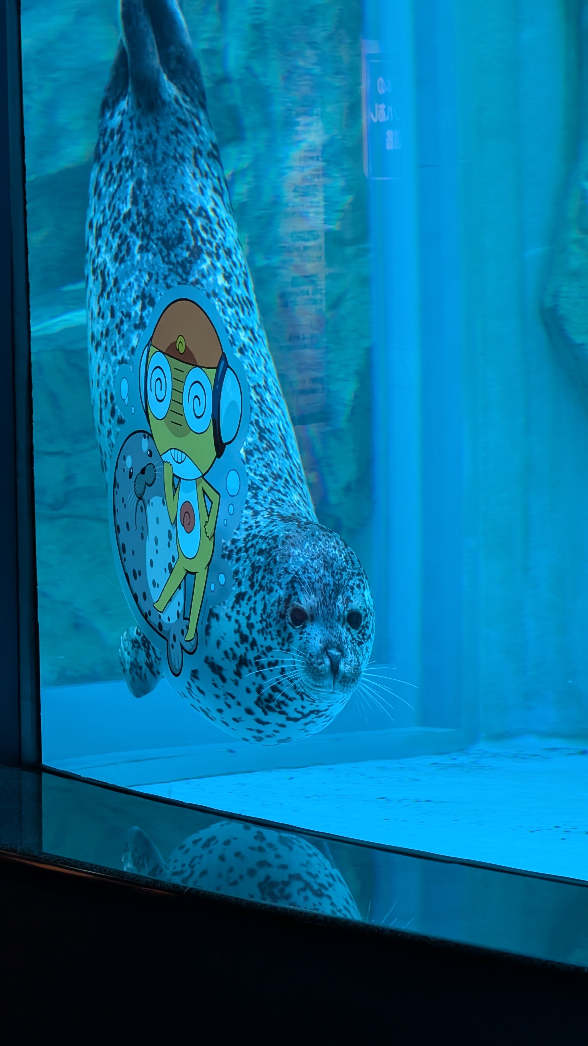 ケロロ軍曹 男鹿水族館GAO 限定ステッカー ケロロ軍曹 男鹿